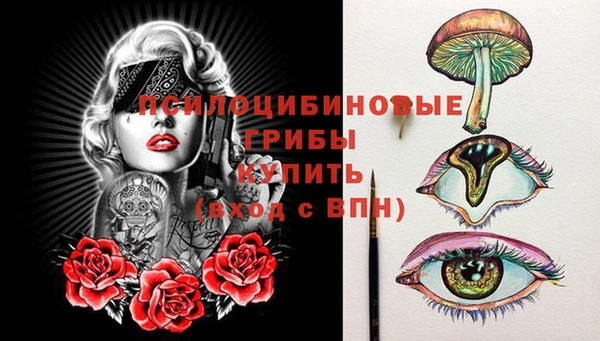 гидра Белоозёрский