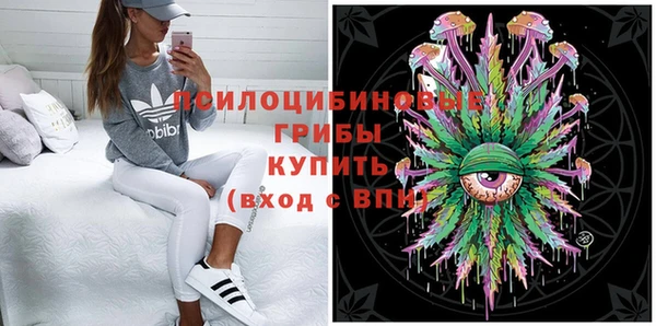 шишки Бугульма